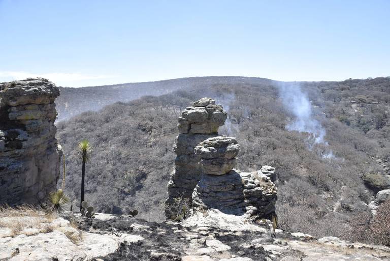 Habitantes de “El Zorrillo” viven con miedo incendio en Sierra de Lobos -  Noticias Vespertinas | Noticias Locales, Policiacas, sobre México,  Guanajuato y el Mundo